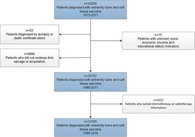 Impact of Limb Salvage on Prognosis of Patients Diagnosed With Extremity Bone and Soft Tissue Sarcomas